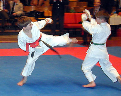 Детское каратэ в Донецке